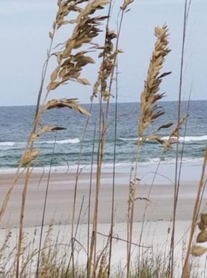 Island Life Lejlighedshotel St. Augustine Beach Eksteriør billede